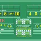 any craps bet